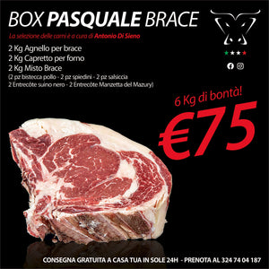 Box Pasquale Brace